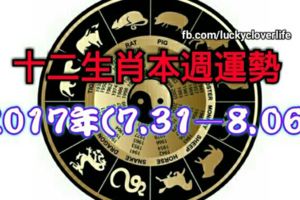 十二生肖本週運勢2017年周運勢2017年(7.31—8.6)