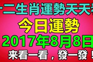 十二生肖運勢天天看，今日運勢：2017年8月8日