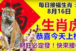 每日接福生肖！8月16日。生肖虎。恭喜今天上榜！財旺必定發！快來接福！