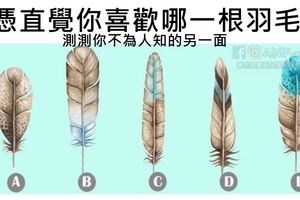 【心理測試】憑直覺你喜歡哪一根羽毛？測測你不為人知的另一面