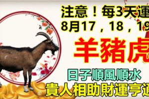 注意！每3天運勢：8月17，18，19日。羊豬虎。日子順風順水，貴人相助財運亨通！