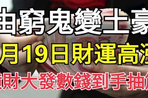 由窮鬼變土豪！8月19日財運高漲，橫財大發數錢到手抽筋3生肖