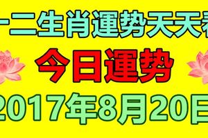 十二生肖運勢天天看，今日運勢：8月20日