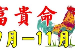 9月-11月，運氣最旺的四大生肖！大富大貴！