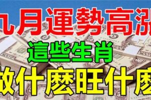 九月運勢高漲，做什麼旺什麼的生肖