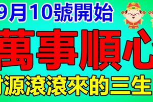 9月10號開始：萬事順心，財源滾滾來的生肖