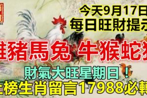 今天9月17日：每日旺財提示：雞豬馬兔，牛猴蛇狗。財氣大旺星期日！上榜生肖留言17988必轉！