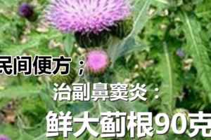 大薊嗎？大薊有幾個秘密你知道嗎？