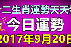 十二生肖運勢天天看，今日運勢：9月20日