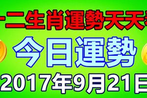 十二生肖運勢天天看，今日運勢：9月21日