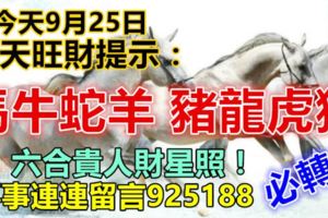 今天9月25日，每天旺財提示：虎馬雞豬，龍牛蛇羊。六合貴人財運照！喜事連連留言925188必轉！