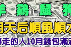 明天後順風順水的四大生肖！轉走的人10月錢包滿滿！