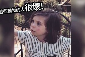 小男童只有3歲就超有同理心，他在動物園發怒喊出的「一句話」讓大人都不禁深思！