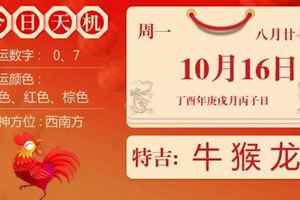 10月16日十二生肖運勢早知道