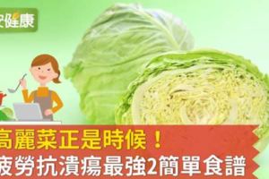 吃高麗菜正是時候！消疲勞抗潰瘍最強2簡單食譜