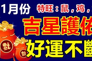 11月份吉星護佑，好運不斷的三大生肖！