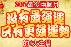 2017最後兩個月，沒有最強運，只有更強運勢的4大生肖