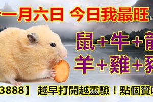 十一月六日，今日我最旺！鼠+牛+龍+羊+雞+豬！【23888】越早打開越靈驗！點個贊吧！