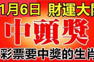 好運氣！11月6日財運大開，買彩票中得頭獎的6大生肖！