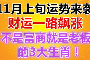 11月上旬運勢來襲，財運一路飆漲，不是富商，就是老闆的3大生肖！