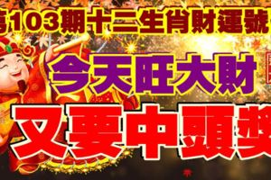 第103期十二生肖財運號碼。今天旺大財，又要中頭獎！