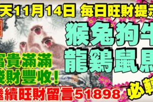 今天11月14日,每日旺財提示：猴兔狗牛，龍雞鼠馬。富貴滿滿錢財豐收！繼續旺財留言51898必轉！