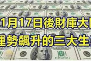 11月17日後財庫大開，運勢飆升的三大生肖！