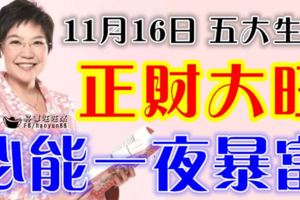 11月16日財運爆棚，正財大旺，橫財連發，必能一夜暴富的生肖