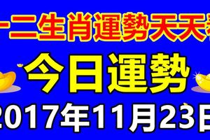 十二生肖運勢天天看，今日運勢：11月23日