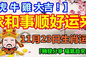 11月23日生肖運勢，家和事順好運來！【虎牛雞大吉！】『轉發分享福氣自來』