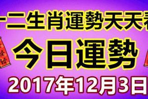 十二生肖運勢天天看，今日運勢：12月3日