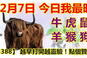 12月7日，今日我最旺！牛虎鼠羊猴狗！【33388】越早打開越靈驗！點個贊吧！