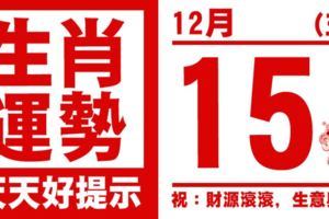 生肖運勢，天天好提示（12月15日）