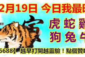 12月19日，今日我最旺！虎蛇雞狗兔牛！【16688】越早打開越靈驗！點個贊吧！