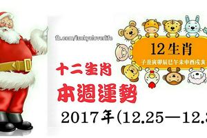 【聖誕快樂】十二生肖本週運勢2017年(12.25—12.31)