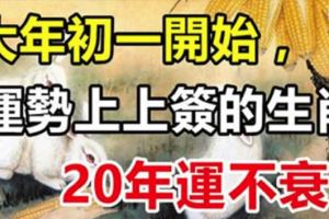 大年初一開始，運勢上上簽，陞官發財，20年運不衰的3大生肖！