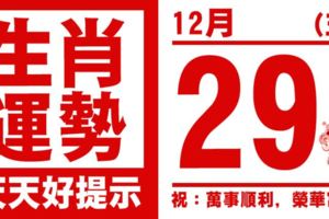 生肖運勢，天天好提示（12月29日）