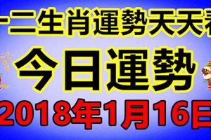 十二生肖運勢天天看，今日運勢：1月16日