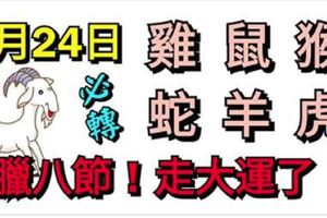 1月24日生肖運勢_雞、鼠、猴大吉