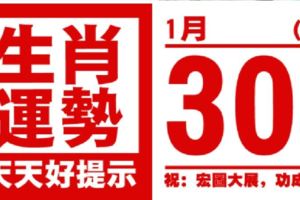 生肖運勢，天天好提示（1月30日）