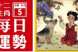 2月5號(一)12生肖運勢+指數