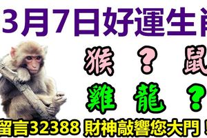 3月7日好運生肖，天天發財迎好運！【猴+？+鼠+雞+龍+馬】『留言32388財神敲響您大門！』