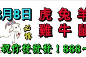 3月8日生肖運勢_虎、兔、羊大吉