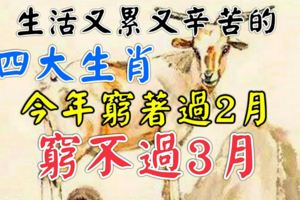 生活又累又辛苦的四大生肖，今年窮著過2月，窮不過3月