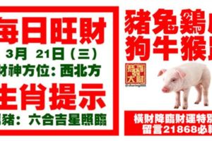 今天3月21日,每日旺財生肖提示：豬兔雞虎，狗牛猴鼠。橫財降臨財運特別旺！留言21868必轉！