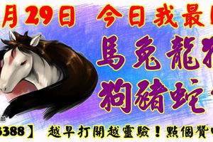 3月29日，今日我最旺！馬兔龍猴狗豬蛇牛！【33388】越早打開越靈驗！點個贊吧！