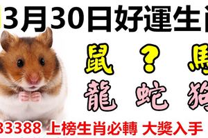 3月30日好運生肖，家和事順好運來！【鼠+？+馬+龍+蛇+狗】『83388上榜生肖必轉大獎入手！』