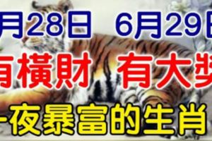 6月28日有橫財，6月29日有大獎！大運連連，財運爆棚的生肖！