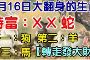 7月16日，必然轉運大翻身的生肖！（上榜的太旺了！一定要轉走，才會發大財！）