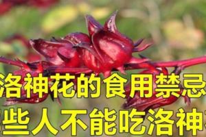 洛神花的食用禁忌，這些人千萬不能吃洛神花